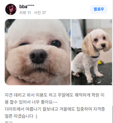 실제 수강생 리뷰 캡처 5